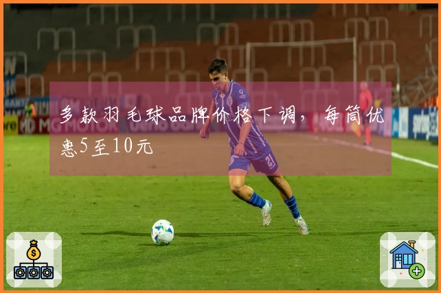 多款羽毛球品牌价格下调，每筒优惠5至10元