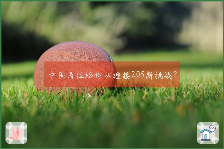 中国马拉松何以迎接205新挑战？