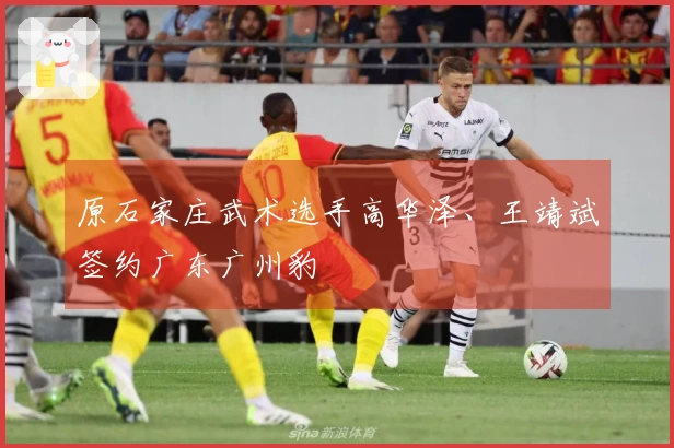 原石家庄武术选手高华泽、王靖斌签约广东广州豹