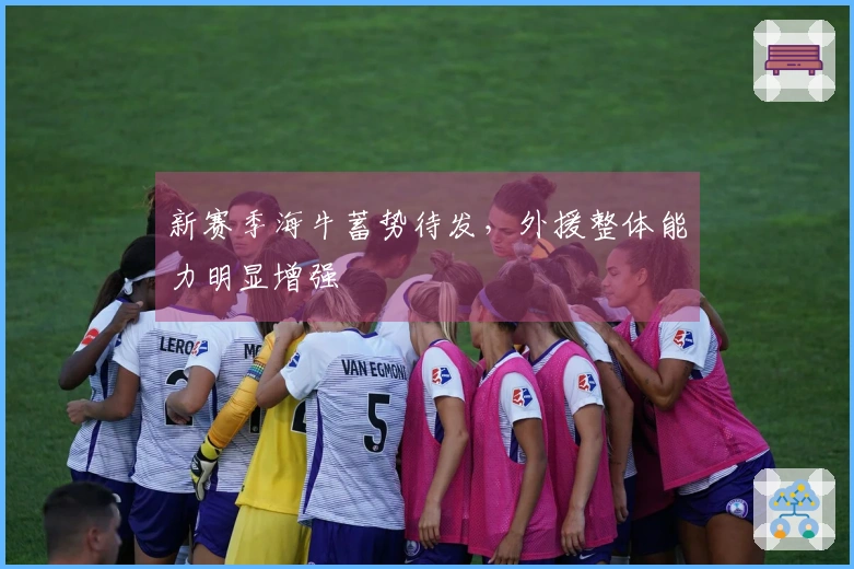 新赛季海牛蓄势待发，外援整体能力明显增强
