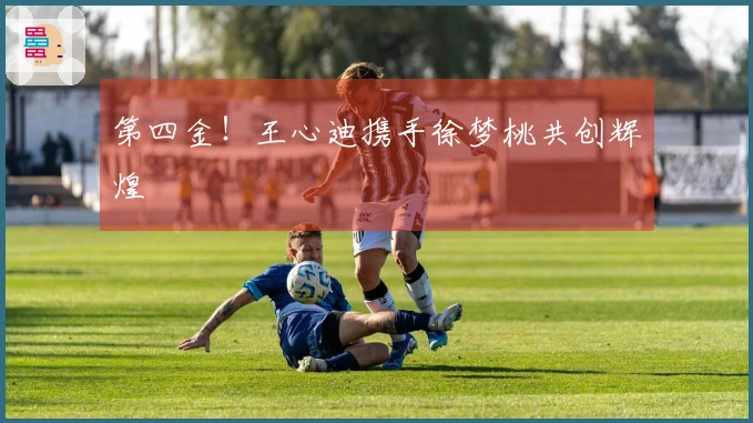 第四金！王心迪携手徐梦桃共创辉煌